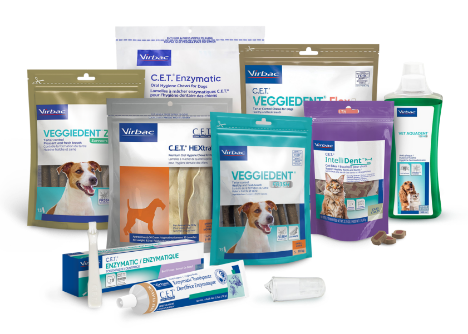 C.E.T. Enzymatic Toothpastes dog