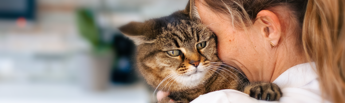 Virbac cat toothbrush discount
