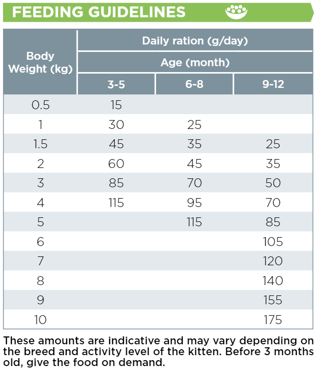 guidelines cat baby.png