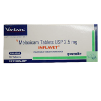 canitone joint support