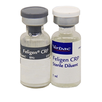 Virbac cat sales vaccines