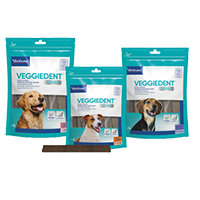 Veggiedent Dental Chews for Dogs