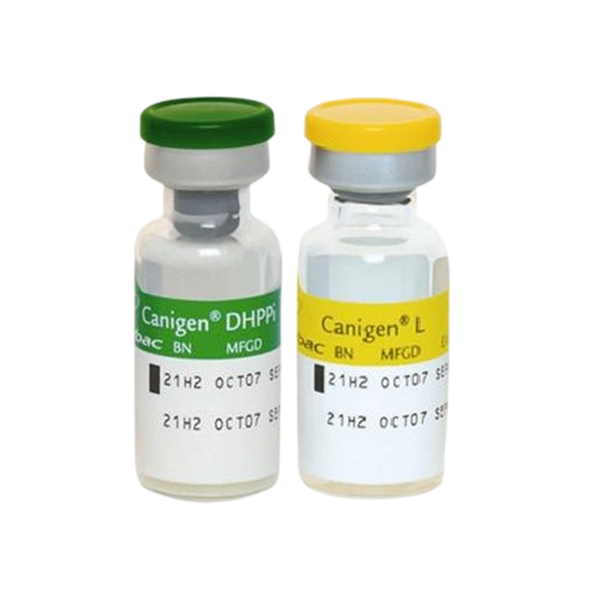 Каниген Рабиген вакцина. Каниген DHPPI + Lepto. Вакцина для собак Каниген. Каниген прививка для собак.