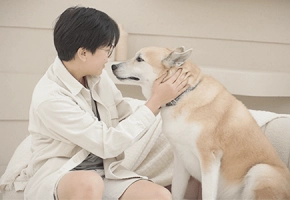 Understanding Dog Mental Disorders