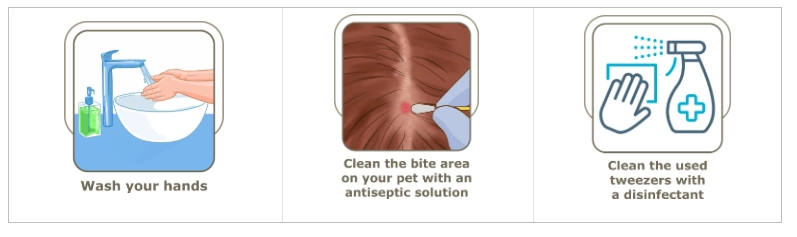 tick-removal.png