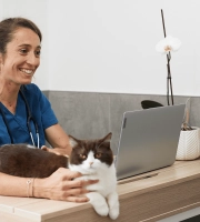 Cat_lying on a desk_clinic_with vet and petowner_advice
